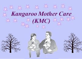 پاورپوینت Kangaroo Mother Care(KMC)