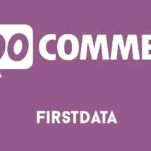 افزونه WOOCOMMERCE FIRSTDATA GATEWAY