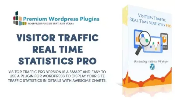 Download Visitor Traffic Real Time Statistics Pro plugin for WordPress