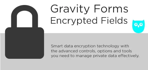 Download Gravity Forms Encrypted Fields plugin
