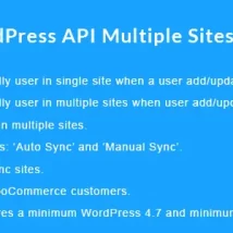 افزونه WordPress API Multiple Sites User Sync