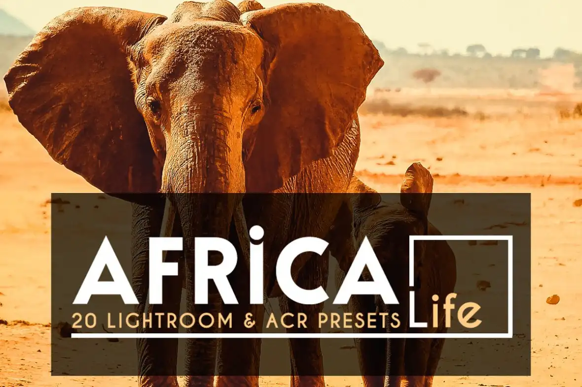لایت روم فوتوشاپ 20 Africa Life LightroomACR Preset