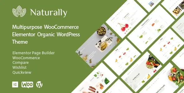 Download naturally WordPress supermarket template