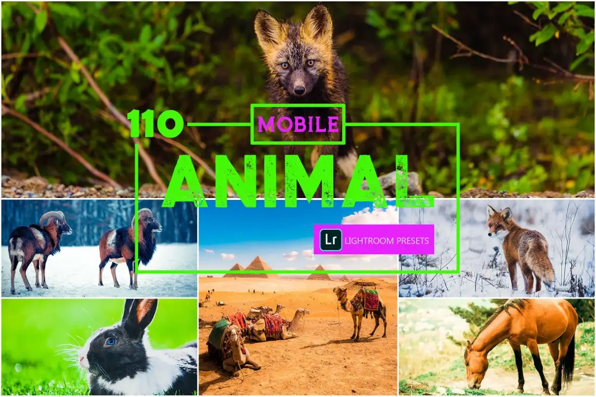 مجموعه لایت روم حیوانات 110 Animal Mobile Lightroom Presets