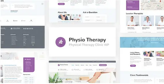 Download Physio Right China template for WordPress