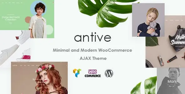 Download the Antive theme - a minimal WordPress store theme right in China