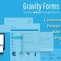 افزونه Gravity Forms Styles Pro