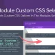 افزونه وردپرس Divi Module Custom CSS Selectors؛ استایلدهی دقیق بدون دردسر برای هر ماژول افزونه وردپرس Divi Module Custom CSS Selectors؛ استایلدهی دقیق بدون دردسر برای هر ماژول