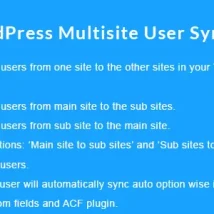 افزونه WordPress Multisite User Sync/Unsync