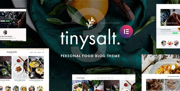 Download TinySalt food blog RTL template for WordPress