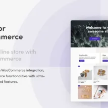 افزونه Themeisle Sparks for WooCommerce