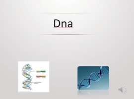 پاورپوینت DNA