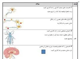 نمونه سوالات زیست پایه یازدهم نوبت اول