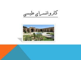 پاورپوینت کاروانسرای طبسی قطب الدین حیدر ( تربت حیدریه)