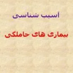 پاورپوینت بیماری های حاملگی