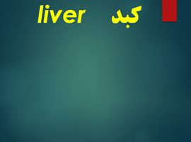 پاورپوینت کبد (liver)