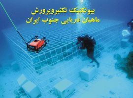 پاورپوینت بیوتکنیک تکثیر و پرورش ماهیان دریایی جنوب ایران