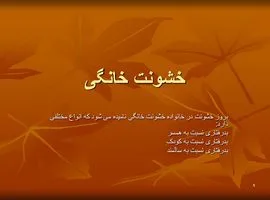 پاورپوینت خشونت خانگی