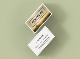 طرح کارت ویزیت عکاسی ANEMONE: a Photography Business Card
