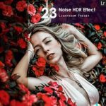 پریست لایتروم ۲۳ Noise HDR Effect Preset