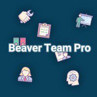 افزونه بیور تیم پرو Beaver Team Pro