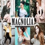 پریست لایت روم مگنولیا Magnolia Lightroom Presets Pack