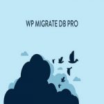 افزونه WP Migrate DB Pro برای وردپرس
