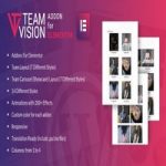 افزونه Teamvision for Elementor برای وردپرس