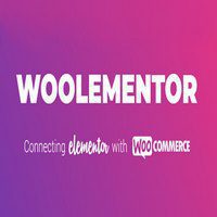 افزونه WC Designer Pro / WooLementor Pro برای وردپرس