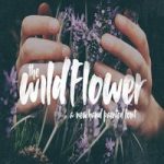 فونت Wildflower Font