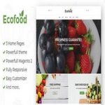 قالب Ecofood برای مجنتو