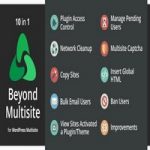 افزونه Beyond Multisite برای وردپرس