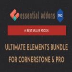 افزونه Essential Addons for Cornerstone & Pro
