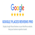 افزونه وردپرسی Google Places Reviews Pro