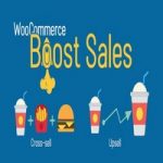 افزونه WooCommerce Boost Sales برای وردپرس