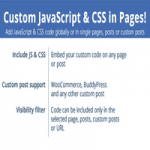 افزونه Custom JavaScript & CSS in Pages برای وردپرس