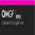 افزونه OMGF Pro برای وردپرس