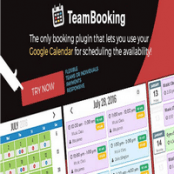 افزونه Team Booking برای وردپرس افزونه Team Booking برای وردپرس