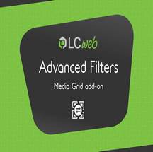 ادآن Advanced Filters برای مدیا گرید