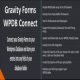 افزونه Gravity Forms – WPDB / MySQL Connect برای وردپرس