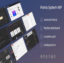 افزونه WooCommerce DZS Point System برای وردپرس