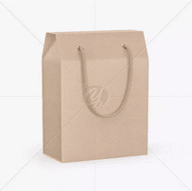 ماک آپ Kraft Packaging Box