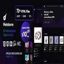 قالب فروشگاه NFT اچ تی ام ال Netstorm