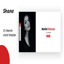 قالب نمونه کار Shane