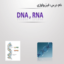 پاورپوینت فیزیولوژی DNA , RNA