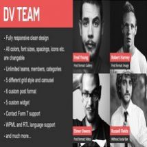 افزونه DV Team برای وردپرس