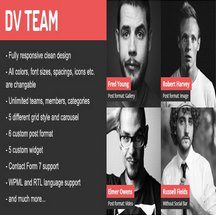 افزونه DV Team برای وردپرس