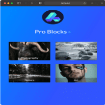 پلاگین ۱۰ Pro Blocks Pack برای بیولینکس
