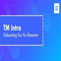 افزونه TM Intro برای المنتور