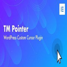 افزونه TM Pointer برای وردپرس